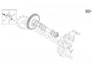 04502767 Распределительный вал