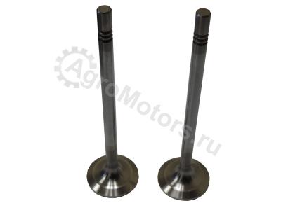 030520734000 Впускной клапан Вид 1 030520734000 Впускной клапан Вид 1