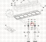 NAV1824683C1 Уплотнение клапан