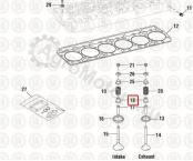 1823925C1 Маслосъемный колпачек