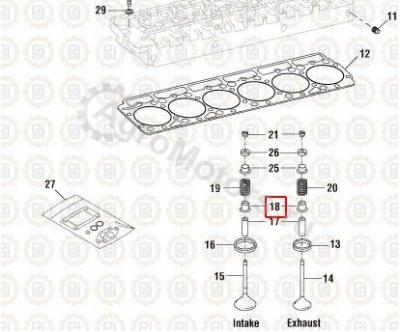 1823925C1 Маслосъемный колпачек Вид 1