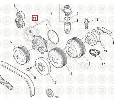 NAV1831676C92 Насос водяной Вид 1
