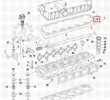 NAV1824908C1 Кольцо