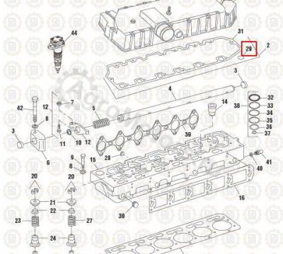 NAV1824908C1 Кольцо Вид 1