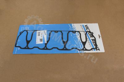 713487100 Прокладка клапанной крышки Вид 1
