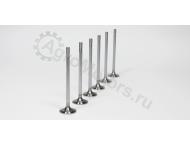 855163-6 Клапан впускной