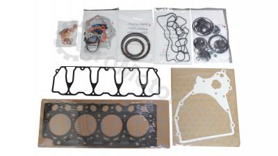 F004200210270 Комплект прокладок двигателя Вид 1