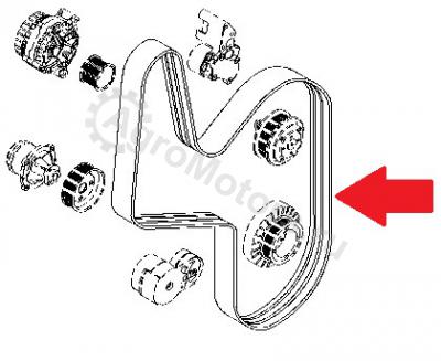 01183383 ПОЛИКЛИНОВ.РЕМЕНЬ Вид 1