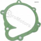 04202975 Прокладка водяного насоса