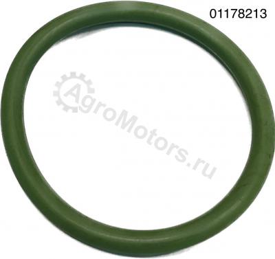 01178213 Кольцо уплотнительное Вид 1