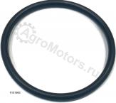 01319624 УПЛОТНИТЕЛЬНОЕ КОЛЬЦО НАСОС-ФОРСУНКИ