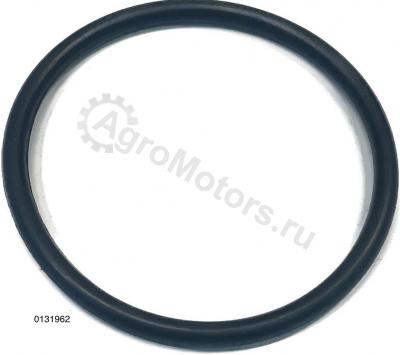01319624 УПЛОТНИТЕЛЬНОЕ КОЛЬЦО НАСОС-ФОРСУНКИ Вид 1
