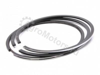 16813501 Поршневые кольца LIEBHERR D9406 / D9408 Вид 1