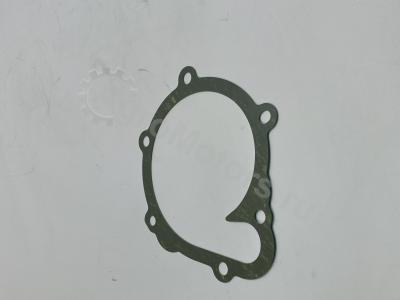 04202975 Прокладка водяного насоса Вид 4