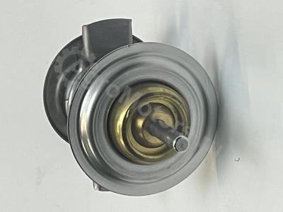 04204796 Термостат Вид 4