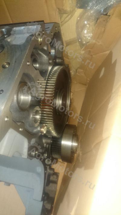 04282826 Шорт Блок BF6M1013FC Вид 5 04282826 Шорт Блок BF6M1013FC Вид 5