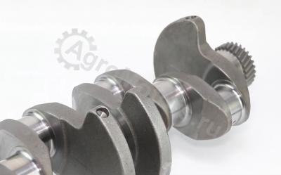 6005009127 Коленвал Вид 1
