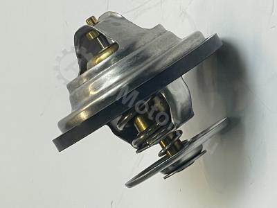 04224846 Термостат Вид 5