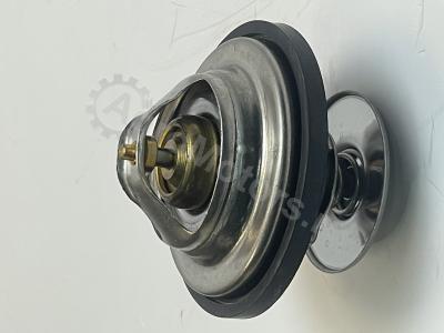 F119200050040 Термостат Вид 1