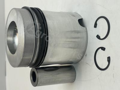 04231966 Поршень в сборе (поршневые кольца, стопор, палец) Вид 5