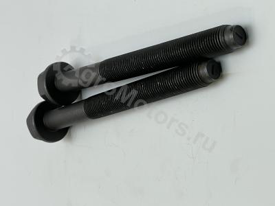 04254240 Болт коренной Вид 1 04254240 Болт коренной Вид 1