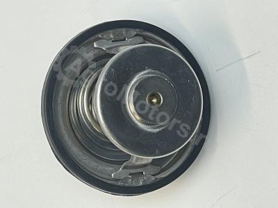 04262003 Термостат Вид 3