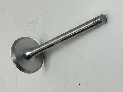 04280048 Впускной клапан Вид 1