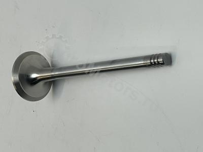 04280049 Клапан выпускной Вид 1