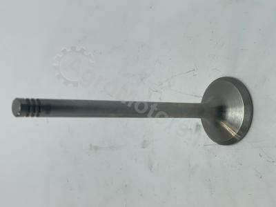 04283381 Клапан выпускной Вид 5