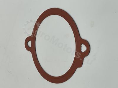 04903098 Прокладка водяного патрубка (корпус термостата) Вид 3