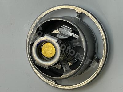 04911831 Термостат Вид 7