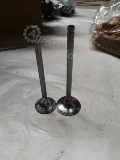 04153631 ВПУСК. КЛАПАН Вид 2