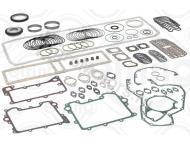 171691 Комплект прокладок