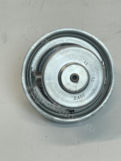 7380513 Термостат Вид 6