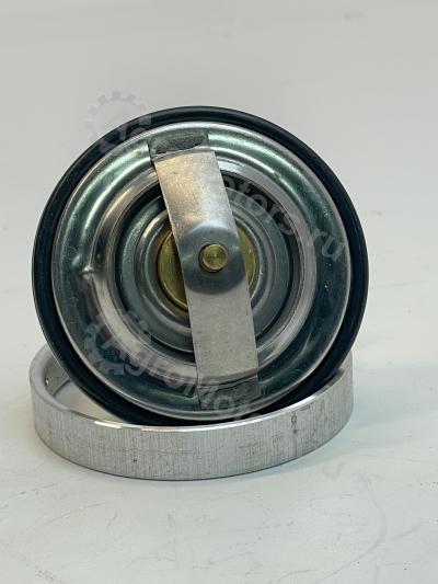 7380833 Термостат 79с Вид 9