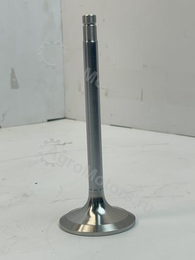 9279965 Клапан впускной Вид 4