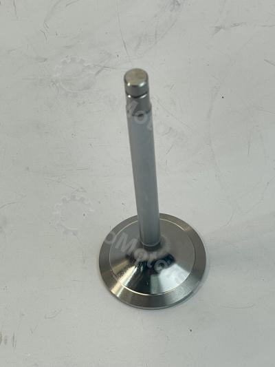 9279965 Клапан впускной Вид 5