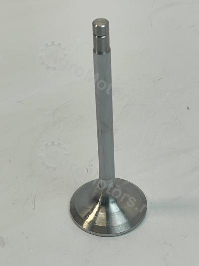 9882724 Клапан выпускной Вид 1