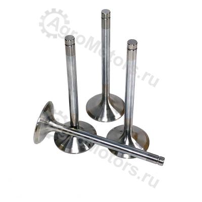 10120988 ВЫПУСКНОЙ КЛАПАН Вид 1