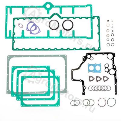 10118014  Комплект прокладок Вид 1