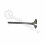 04170898 Впускной клапан