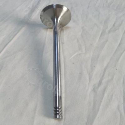 04170898 Впускной клапан Вид 3