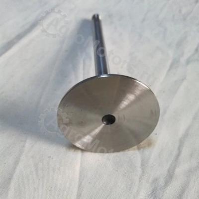 04170898 Впускной клапан Вид 4