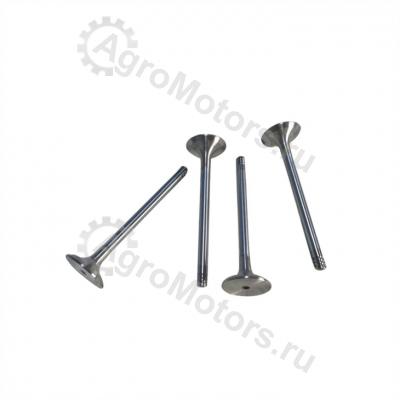 04170899 Клапан выпускной Вид 1