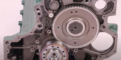 04282829 Шорт Блок BF4M1013 Вид 6