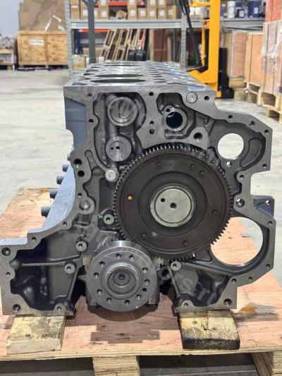 04282826 Шорт Блок BF6M1013FC Вид 10 04282826 Шорт Блок BF6M1013FC Вид 10