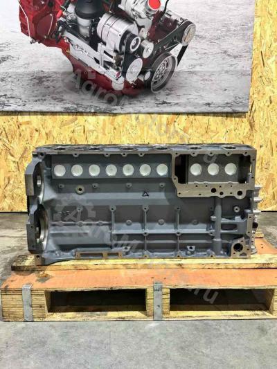 04282826 Шорт Блок BF6M1013FC Вид 12 04282826 Шорт Блок BF6M1013FC Вид 12