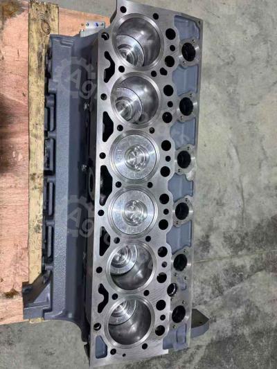 04282826 Шорт Блок BF6M1013FC Вид 14 04282826 Шорт Блок BF6M1013FC Вид 14